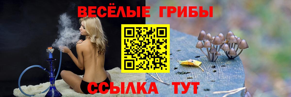 Псилоцибиновые грибы Cubensis Старая Русса